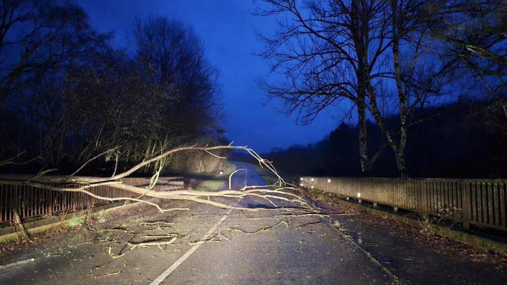 , Tempête Louis : la chute d’arbres perturbe la circulation sur plusieurs routes du Sedanais