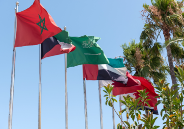 Drapeaux des pays du Moyen-Orient et d'Afrique du Nord